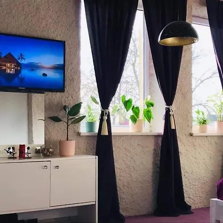 Apartment Violet