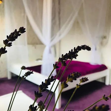 Violet Apartment Palanga