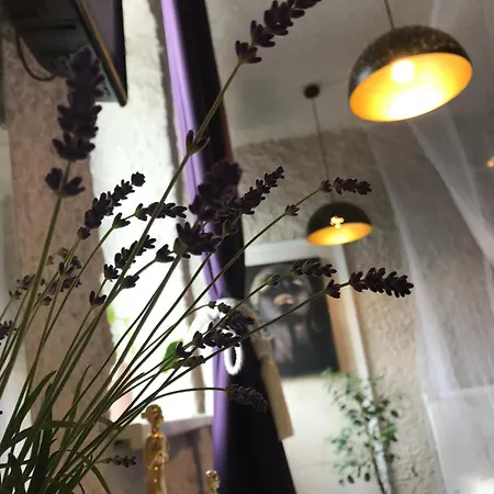 Violet * Palanga